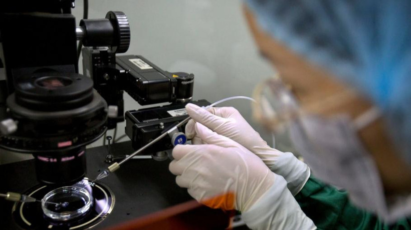 Nghiên cứu về gen tại một phòng thí nghiệm ở Thâm Quyến, tỉnh Giang Đông, Trung Quốc. Ảnh: AP.