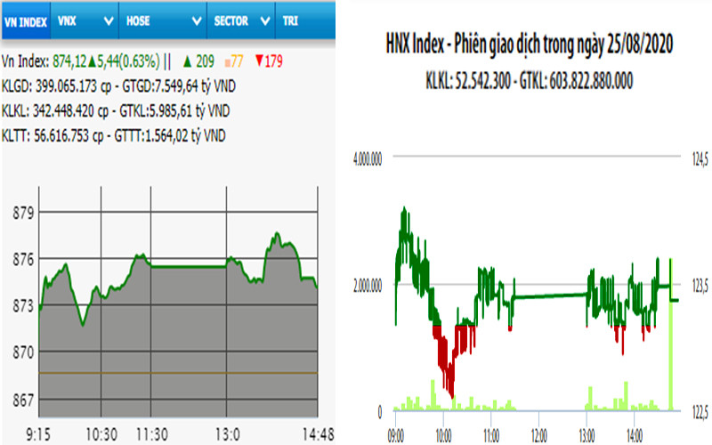 Diễn biến VN-Index và HNX-Index, phiên giao dịch ngày 25-8. 