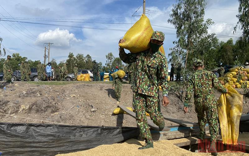 Các chiến sĩ giúp nông dân vận chuyển lúa xuống thuyền máy lớn.