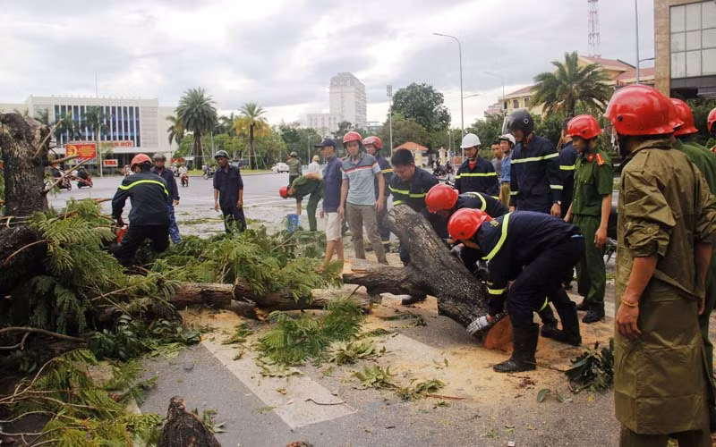 Các lực lượng chức năng đang thu dọn cây xanh bị ngã đổ trên các tuyến phố.