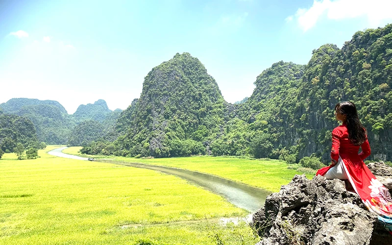Mùa vẫn vàng rực ở Tam Cốc. Ảnh: Lê Hồng.