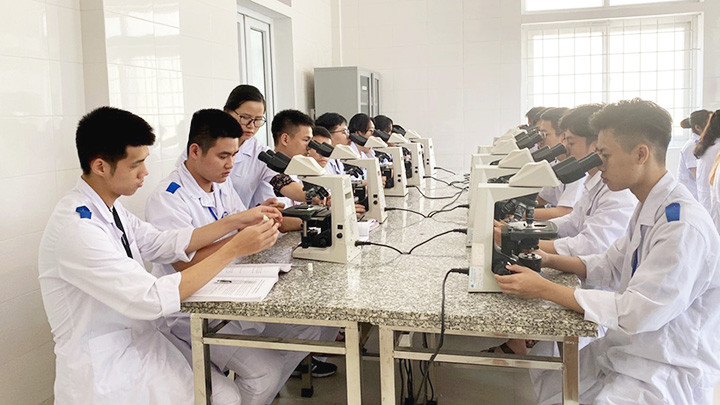 Một tiết học của sinh viên Trường đại học Y khoa Vinh. Ảnh: TTXVN