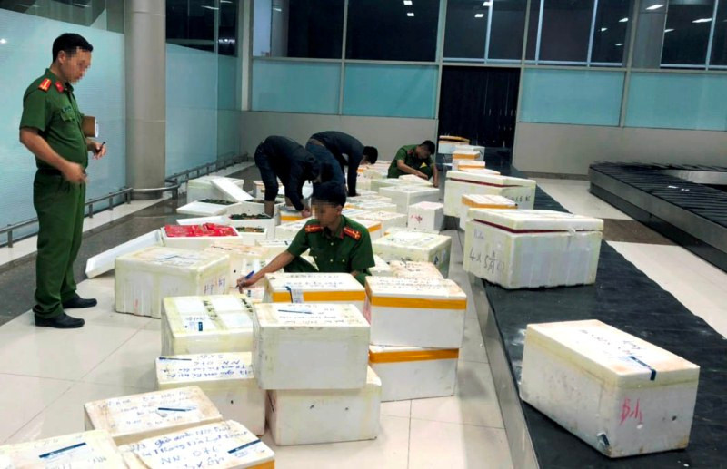 Kiểm tra các thùng chứa dâu tây nhập lậu qua Cảng hàng không Liên Khương.