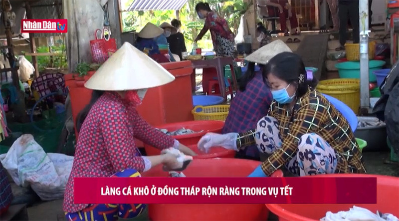 Làng cá khô ở Đồng Tháp rộn ràng trong vụ tết