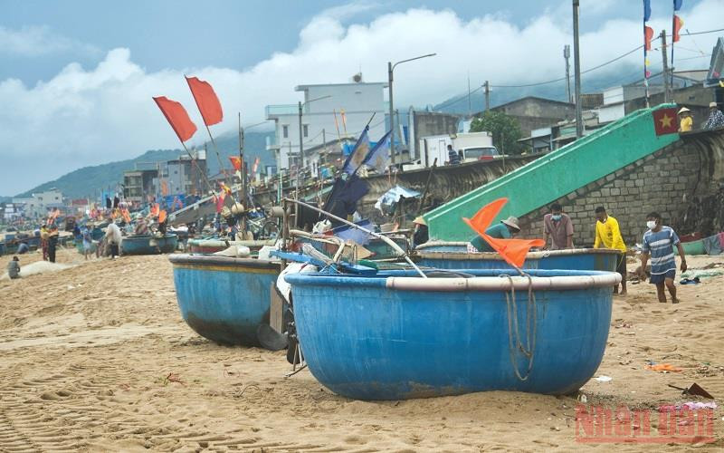 Làng cá Phước Hải (huyện Đất Đỏ) trong ngày đầu “mở biển”.