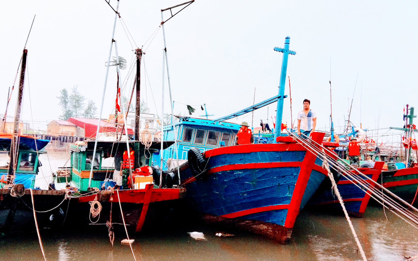 Tàu về neo đậu tại bến cá Ngọc Hải, quận Đồ Sơn (Hải Phòng) tránh trú bão.