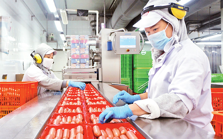 Công nhân kỹ thuật làm việc trên dây chuyền sản xuất xúc xích tiệt trùng của Công ty cổ phần Việt Nam Kỹ nghệ súc sản (VISSAN).