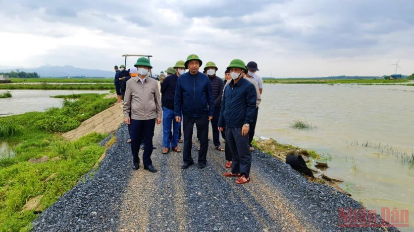 Ông Trần Quang Hoài (đứng giữa) kiểm tra tình hình úng ngập tại huyện Quảng Ninh. 