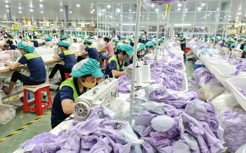 Ngành dệt may chiếm tới 63% tổng kim ngạch xuất khẩu của tỉnh Thái Bình.