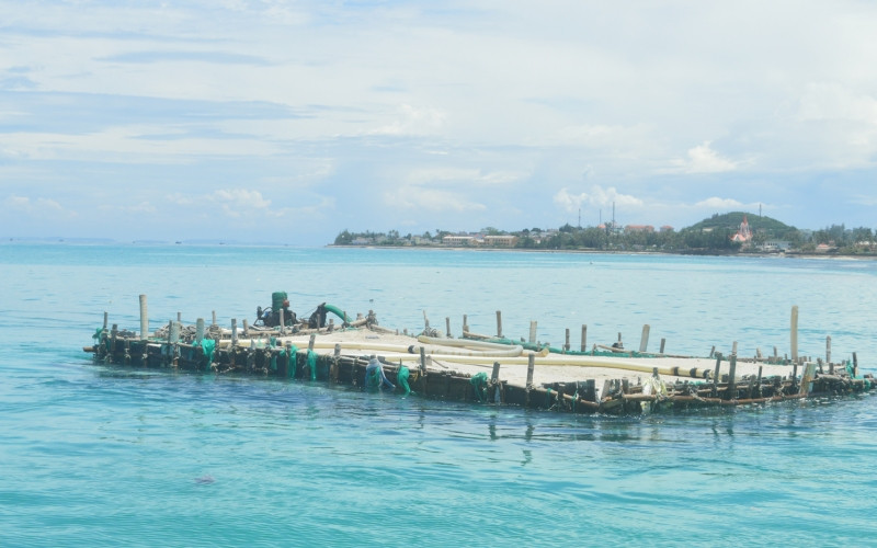 Người dân Lý Sơn khai thác cát giữa biển để phục vụ sản xuất nông nghiệp.