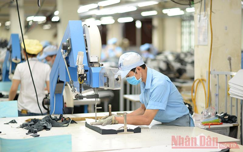 Ngành dệt may đã có một năm “vượt bão” thành công.