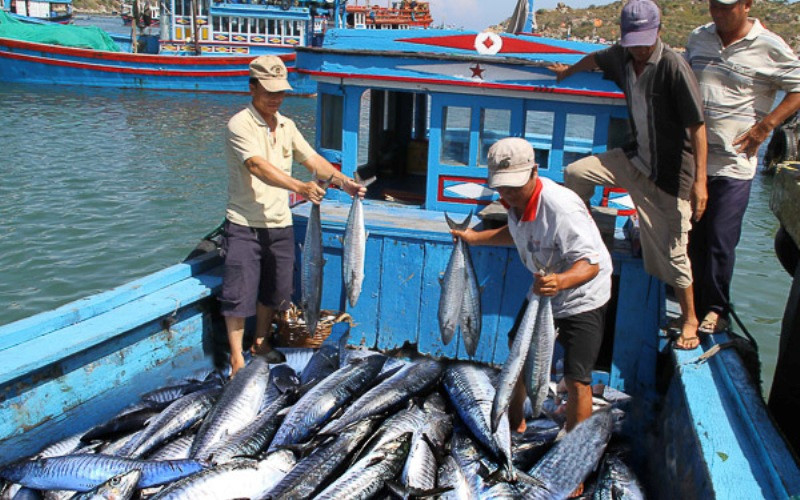 Biến đổi khí hậu và bối cảnh đại dịch Covid-19 có tác động lớn đối với việc triển khai các chiến lược, kế hoạch phát triển kinh tế biển. 