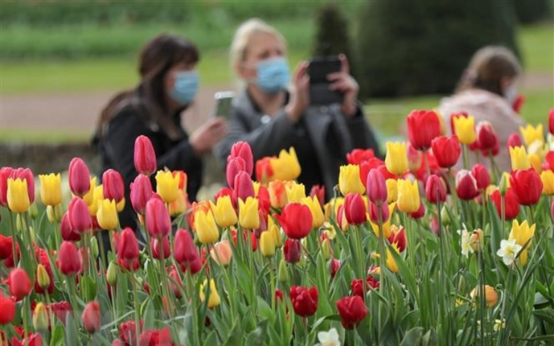 Du khách tại Triển lãm hoa quốc tế ở Brussels, Bỉ. (Ảnh: THX/TTXVN)