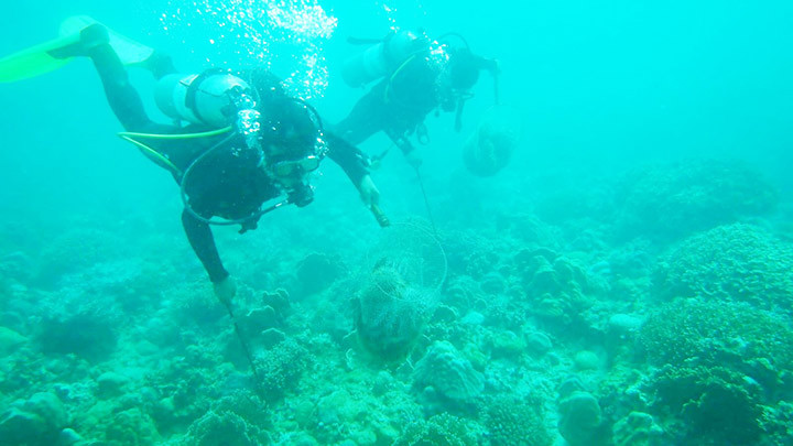 Tuần tra thám sát đáy biển Hòn Mun vớt cầu gai, rác.