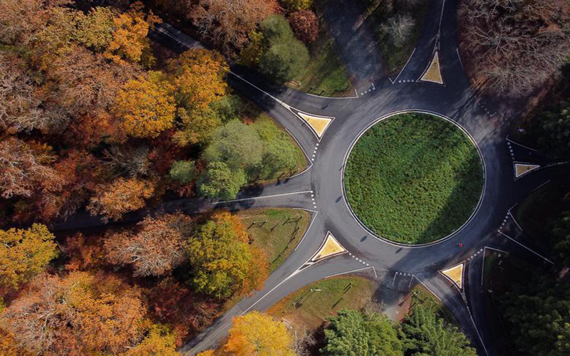 Thảm lá vàng trong rừng Gavre tại Le Gavre, gần Nantes, Pháp, ngày 18/11. (Ảnh: Reuters)