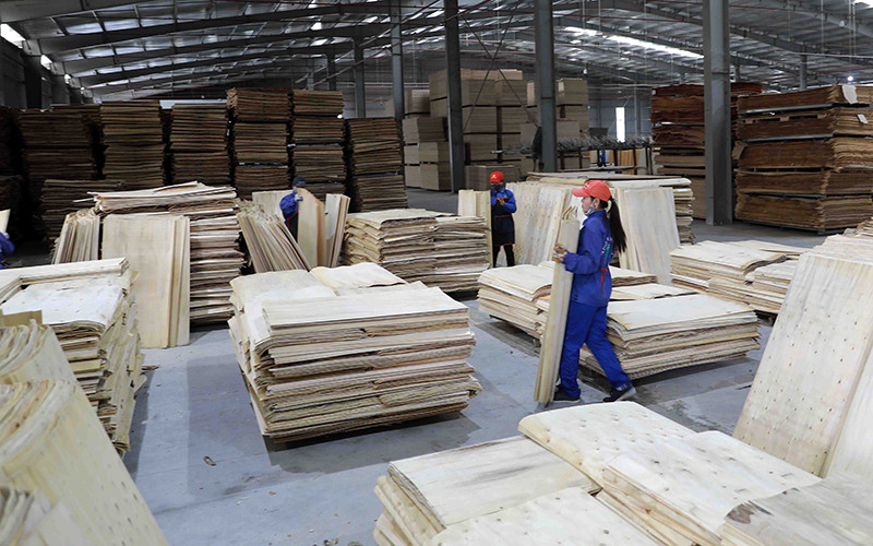 Liên kết để phát triển bền vững