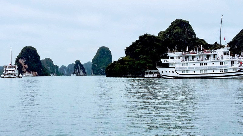 Tàu du lịch trên biển Cát Bà.