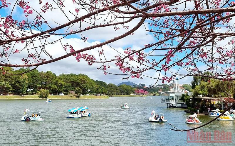 Trên hồ Xuân Hương-Đà Lạt. Ảnh: MAI VĂN BẢO