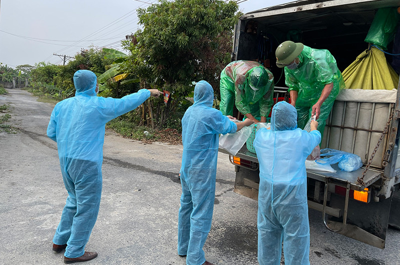 Xe chở cá tươi của Sở Nông nghiệp và Phát triển nông thôn Hải Dương hỗ trợ thực phẩm cho nhân dân vùng dịch huyện Kim Thành.