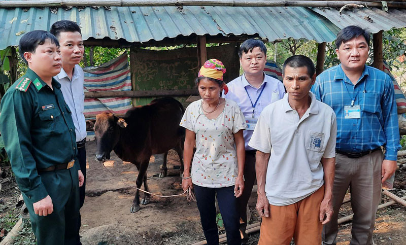 Trao bò cho người dân bản Khe Bù.