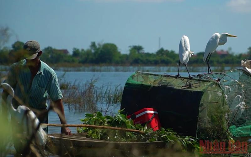 Những con cò vừa bị đối tượng bẫy được.