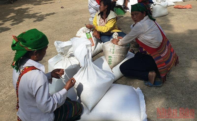 Người dân Bắc Lý, huyện miền núi cao Kỳ Sơn nhận gạo cứu trợ.