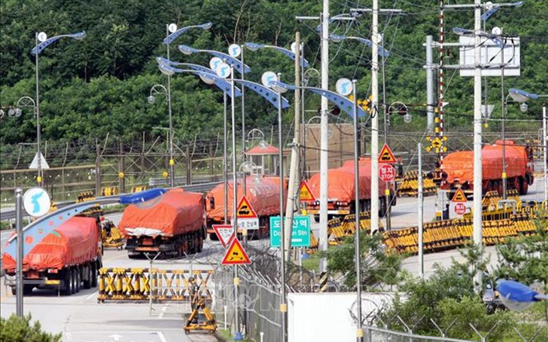 Đoàn xe tải của Hàn Quốc vận chuyển gạo viện trợ cho Triều Tiên di chuyển qua khu vực phi quân sự ở Paju, phía bắc Seoul. (Ảnh (tư liệu): AFP/TTXVN)