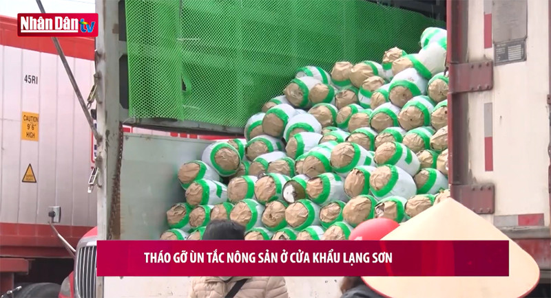 Nông sản xuất khẩu quay đầu bán tháo