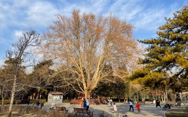 Trẻ em vui chơi ở Công viên Nhật Đàn, Bắc Kinh. (Ảnh: Phương Thảo)