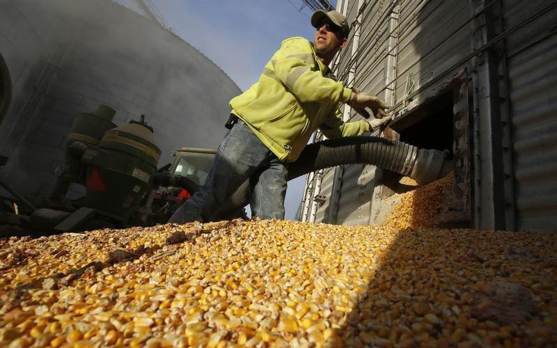 Ảnh minh họa. (Ảnh: Reuters)