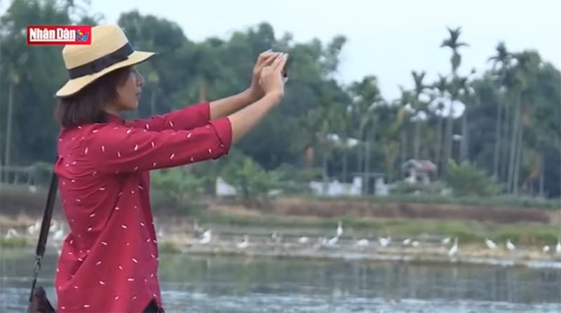 Độc nhất lễ hội Mục Đồng