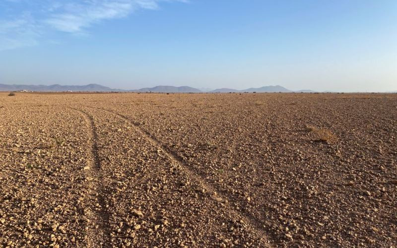 Hình ảnh 1 cánh đồng khô cạn ở Marrakech, Maroc, ngày 12/2/2022. (Ảnh: Reuters)