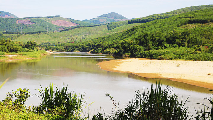 Sông Vệ lững thững ngày hè. 