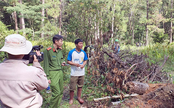 Đưa đối tượng phá rừng vào hiện trường xác định vị trí đã cưa hạ thông
