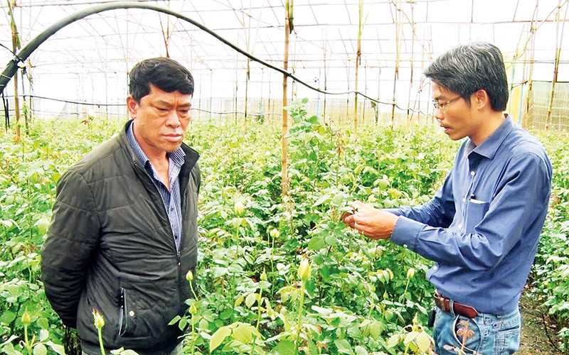 Ông Păng Ting Sin (trái) trò chuyện cùng tác giả trong vườn hoa hồng của gia đình.