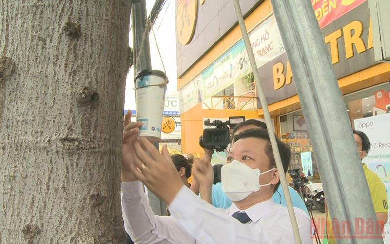 Thả muỗi vằn mang Wolbachia được thả thông qua các "hộp thả muỗi".