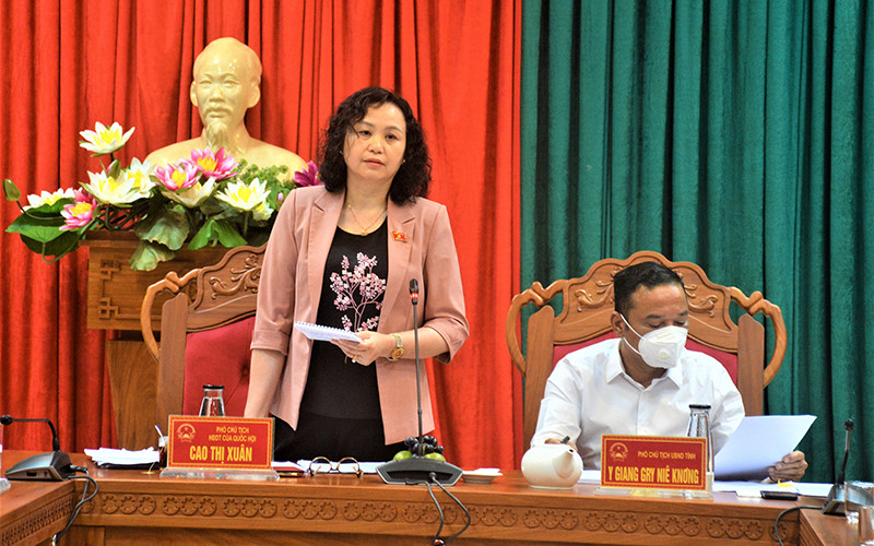 Phó Chủ tịch Hội đồng Dân tộc của Quốc hội Cao Thị Xuân phát biểu tại buổi làm việc. 