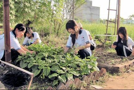 Sinh viên chăm sóc vườn rau.