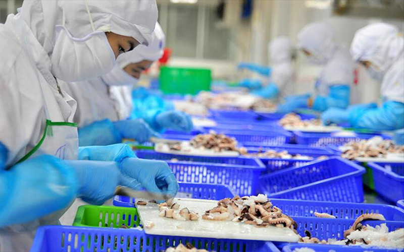 Rất cần các biện pháp hỗ trợ từ các địa phương và Chính phủ để tránh nguy cơ gẫy đổ toàn chuỗi sản xuất, xuất khẩu thủy sản. Ảnh: VASEP