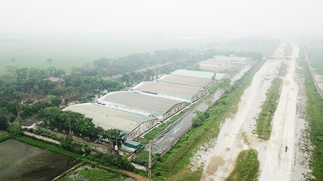 Nơi chăn nuôi lợn gây ra tình trạng ảnh hưởng nặng nề đến cuộc sống người dân.