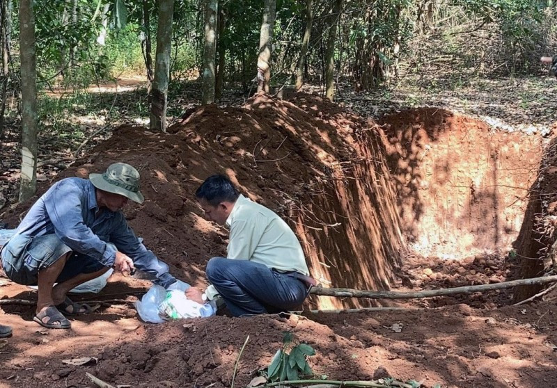 Lực lượng chức năng kiểm tra khu vực hố chôn lấp 138 con lợn.