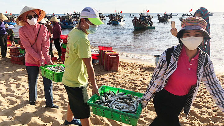 Vận chuyển cá gửi tặng người dân TP Hồ Chí Minh. 