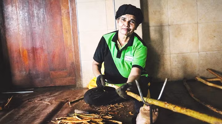 Một công nhân bóc vỏ quế ở Sri Lanka. Ảnh: AL JAZEERA