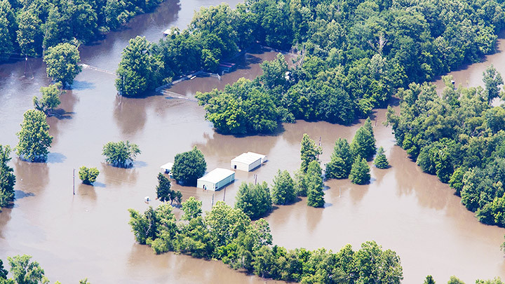 Dynamic World cung cấp dữ liệu các khu vực đất đai theo thời gian thực. Ảnh: MONGABAY