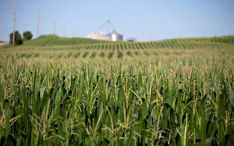 Ảnh minh họa. (Nguồn: Reuters)