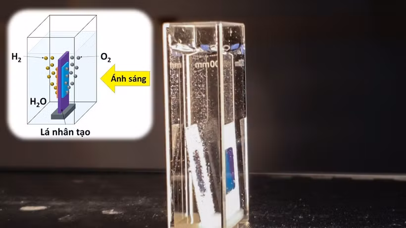 “Lá nhân tạo” do nhóm nghiên cứu tại USTH chế tạo.