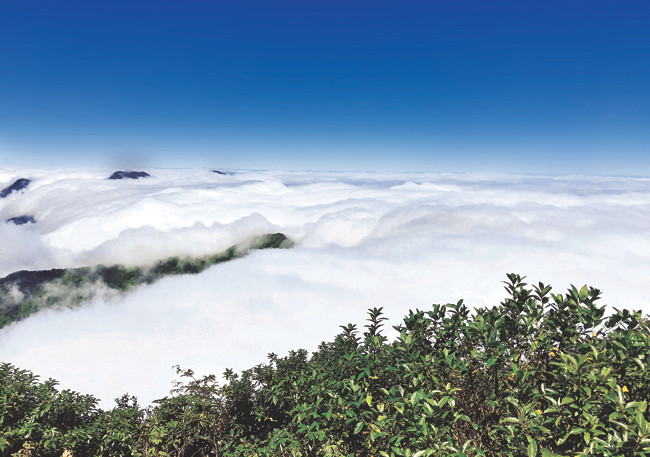 Biển mây trên đỉnh Ky Quan San ở độ cao 3.046 m.