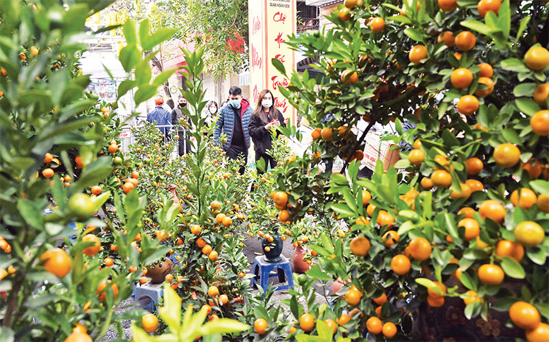 Chợ xuân phố cổ ngày giáp Tết Nguyên đán Nhâm Dần 2022. (Ảnh minh họa: Đăng Duy)