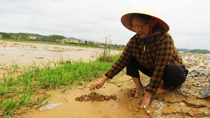 Đất sét và đá phủ hết đồng ruộng ở Hưng Trạch (Quảng Bình).