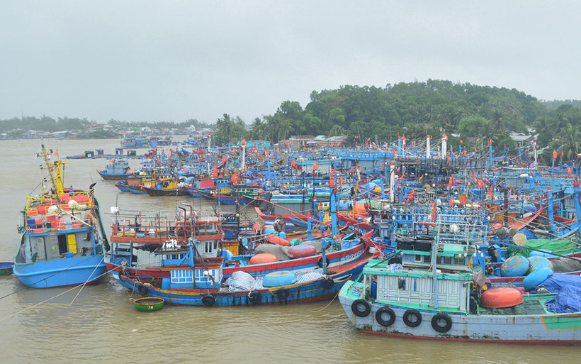 Quảng Ngãi cấm tất cả các tàu, thuyền ra biển hoạt động từ 15 giờ ngày 1/4. 